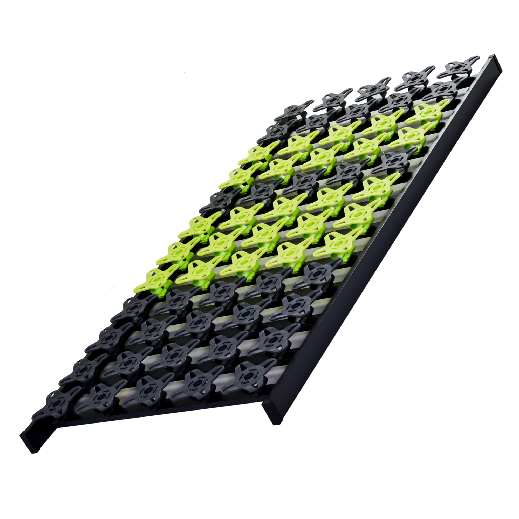 Dream Light Tellerrost