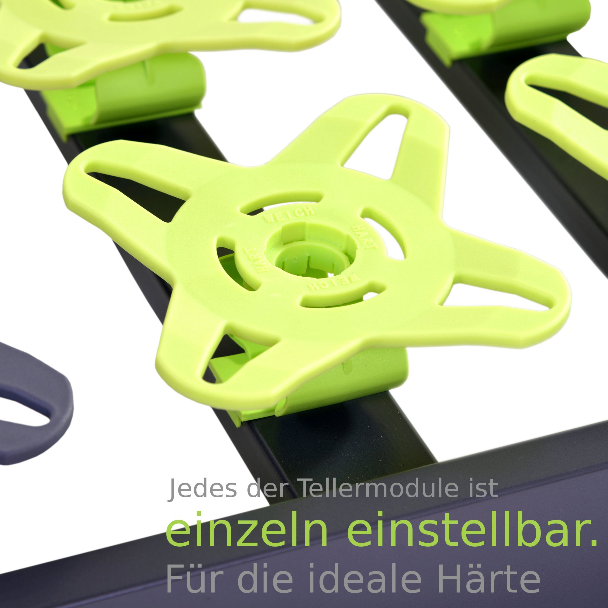 Dream Light Tellerrost