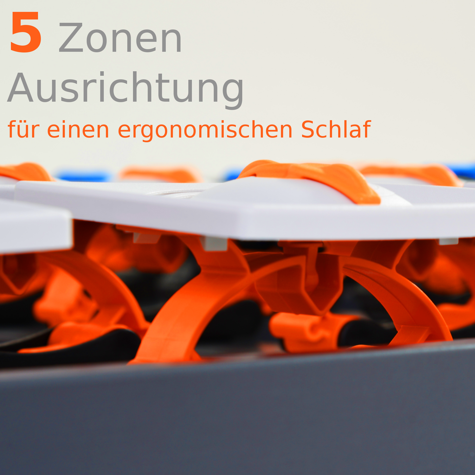 Dream Lattenrost 100x200 cm, 5 Zonen Tellerrost mit Härteverstellung