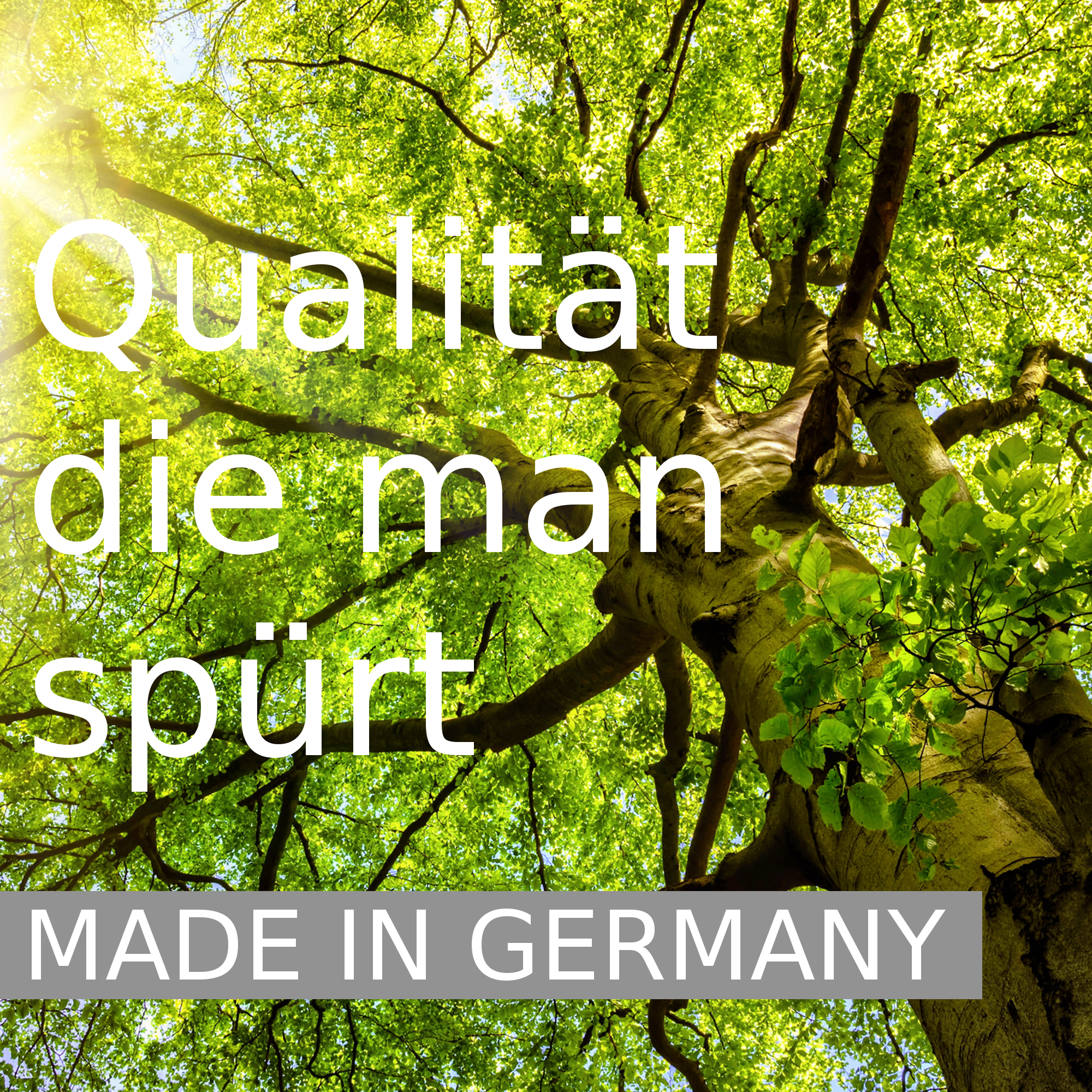 Dream Light Lattenrost 90x200 cm, 5 Zonen Tellerrost mit Härteverstellung