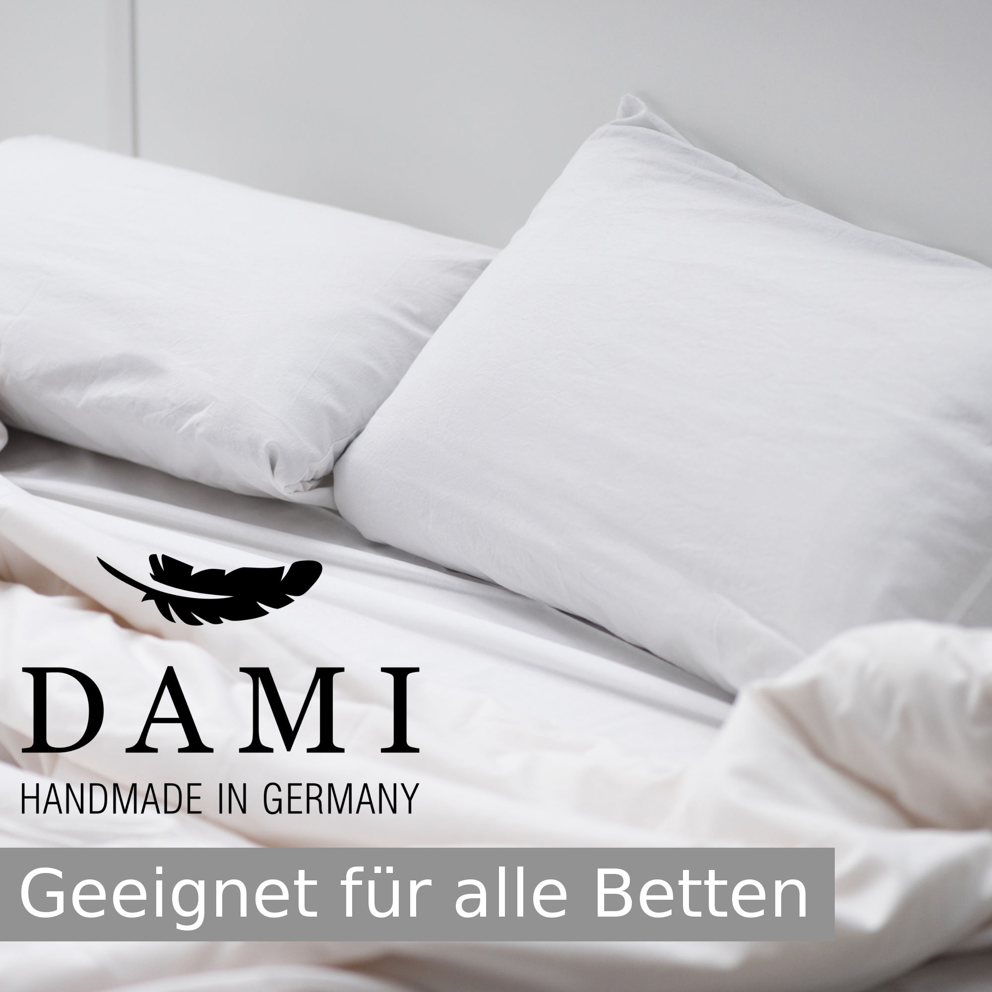 Dream Light Lattenrost 120x200 cm, 5 Zonen Tellerrost mit Härteverstellung