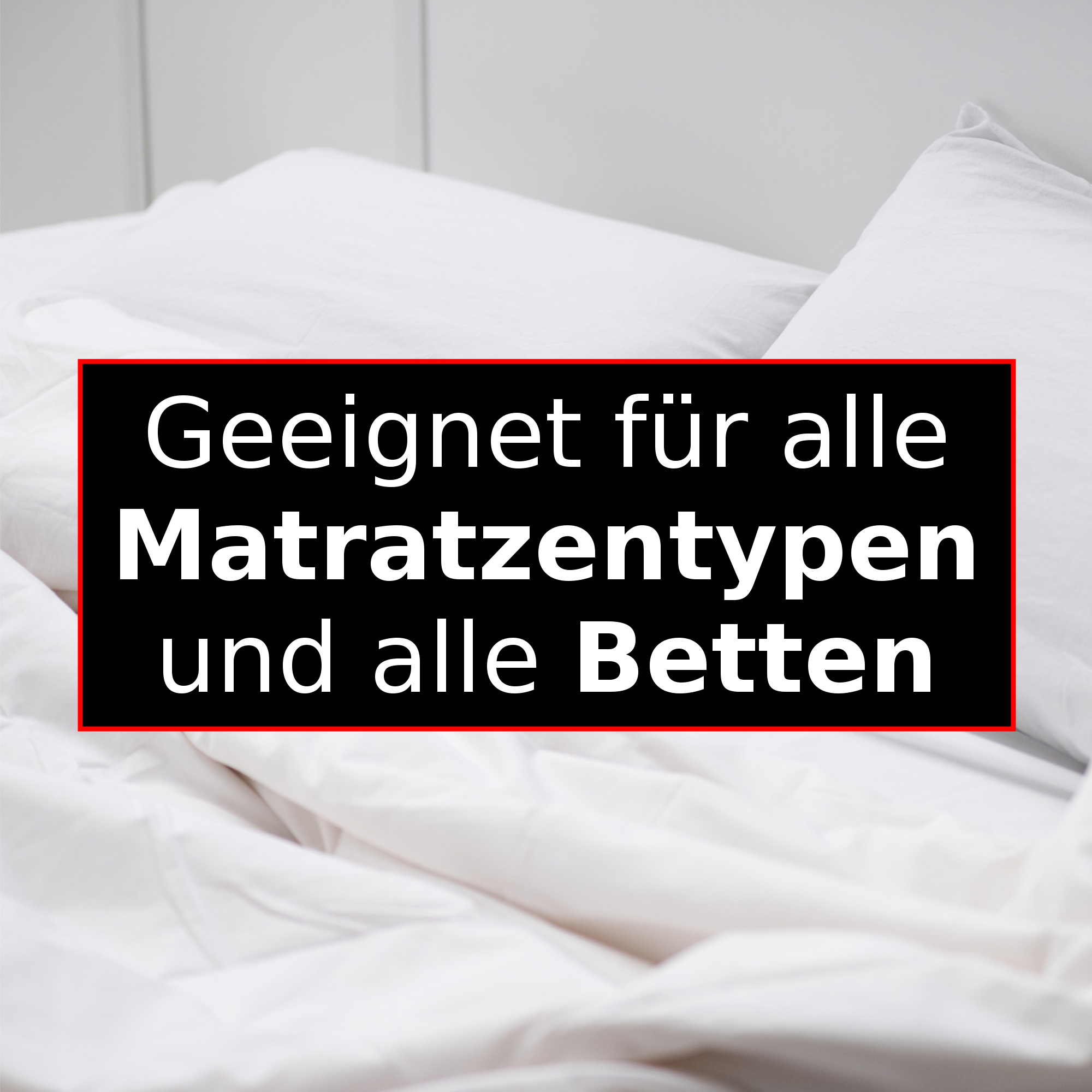 RolloTel Teller-Rollrost