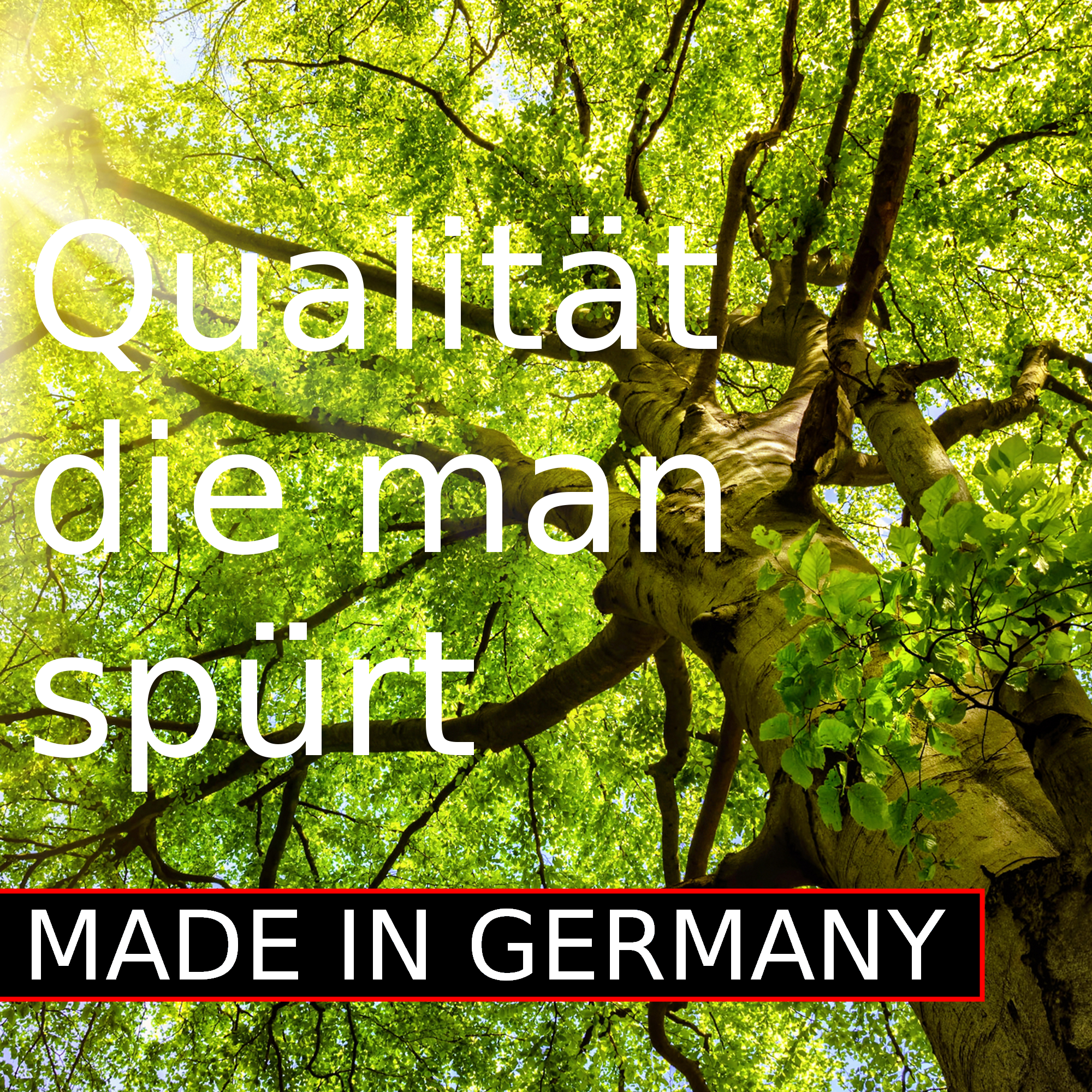 RolloTel Rollrost 90x200 cm Tellerrost Buche Massivholz Rolllattenrost